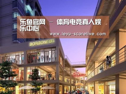 案例展示一