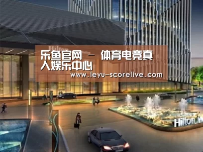 案例展示二