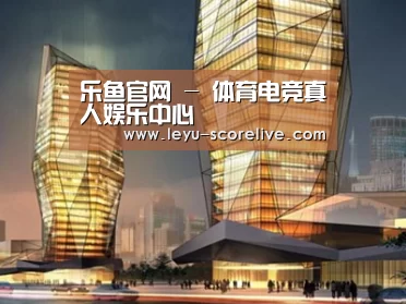 案例展示三