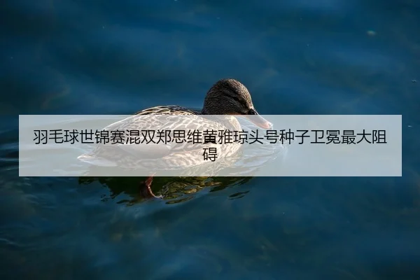 yu-mao-qiu-shi-jin-sai-hun-shuang-zheng-si-wei-huang-ya-qiong-tou-hao-zhong-zi-wei-mian-zui-da-zu-ai-2-717.jpg