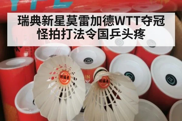 瑞典新星莫雷加德WTT夺冠怪拍打法令国乒头疼