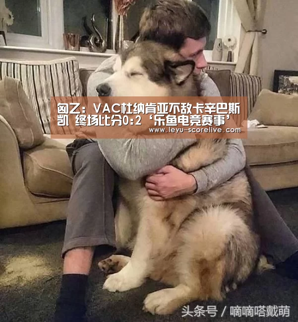 匈乙: VAC杜纳肯亚不敌卡辛巴斯凯 终场比分0:2‘乐鱼电竞赛事’(图1) 乐鱼电竞APP